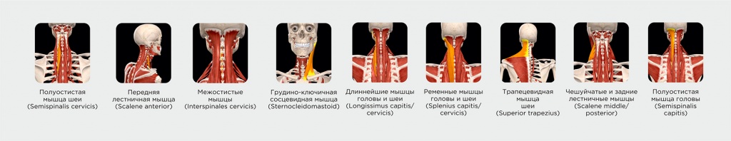 9fc4c69f1561e3a813ce97d60fc8acb7.jpg 9fc4c69f1561e3a813ce97d60fc8acb7.jpg
