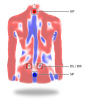 Система DIERS Formetric 4D (10 кадров)